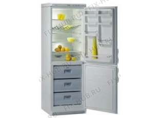 Холодильник Gorenje K337/2LA-G (665693, HZOS3366) - Фото